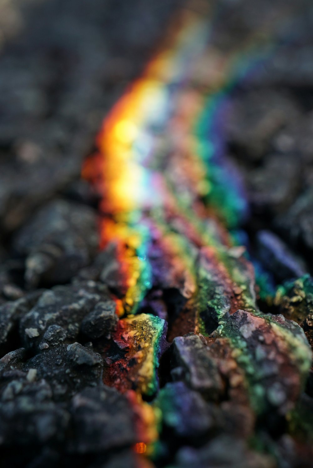 adam-bignell-d6QkQh4Mbog-unsplash